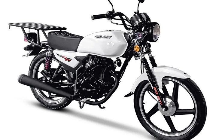How to Build a Profitable Motorcycle Rental Fleet
